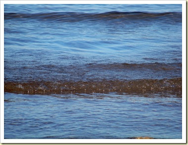 mer giens