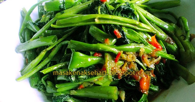 Resep Tumis Kangkung Saus Tiram Terasi Pedas Resep Tumis Kangkung Saus Tiram Terasi Pedas