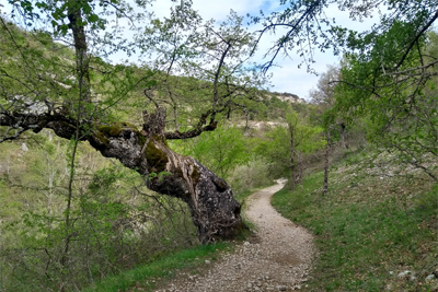 Camino al desfiladero