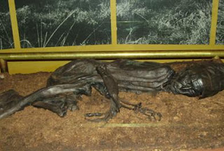 Tollund Man