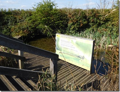 1 pond dipping in side ponds