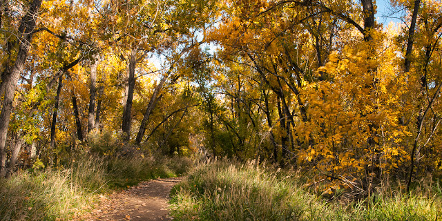 Bear Creek Lake Park