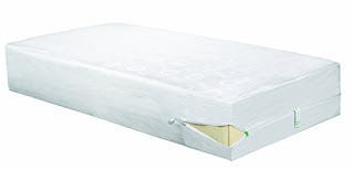 Clean rest Pro Bed Bug Blocking Mattress Encasement