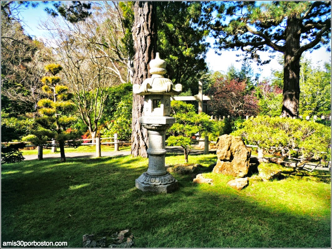 Japanese Tea Garden: San Francisco