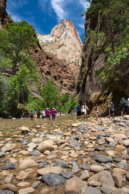 The Narrows, Zion National Park