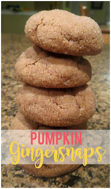 Pumpkin Gingersnaps--the perfect combination of pumpkin and spices.  I make these every year and everyone loves them!