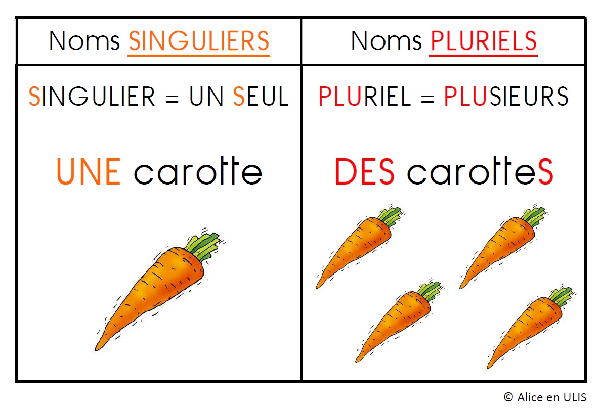 le singulier et le pluriel pdf