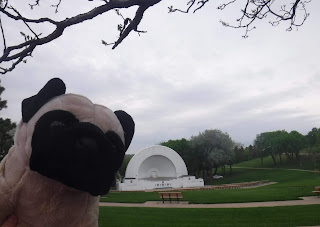 a plush pug appears next to a white art deco bandshell sitting in a lush green park