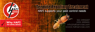 Hafi Termite Services-Karachi