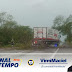 Temporal com forte ventania derruba árvores sobre a BR-392 em São Sepé