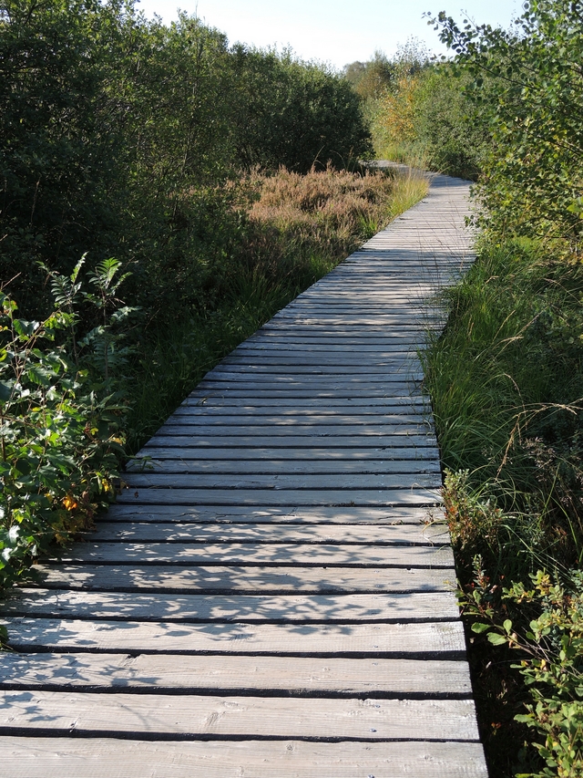 Eupen: wandelen in het Brackvenn