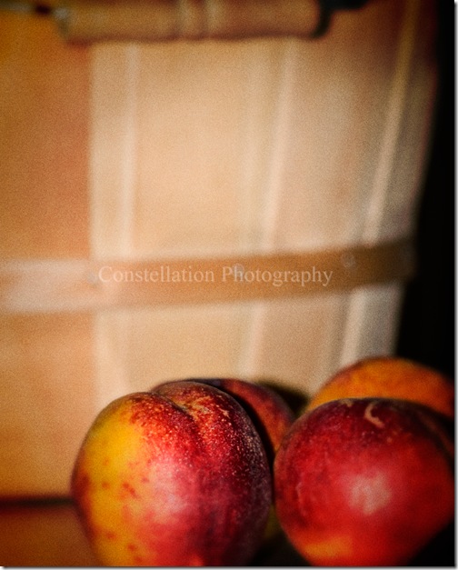 harvestnectarines
