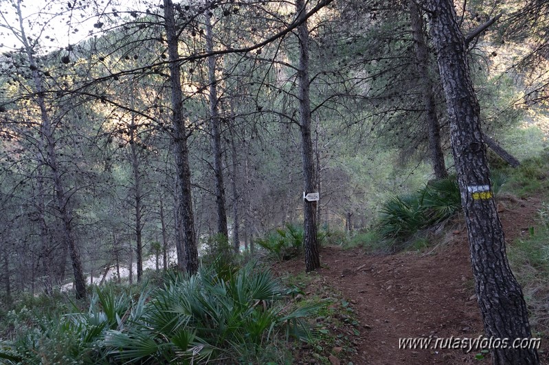 Sendero de las Cascadas de Tolox