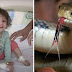 Two-Year-Old Girl Takes Revenge On Snake That Bit Her - By Biting Back And Killing It