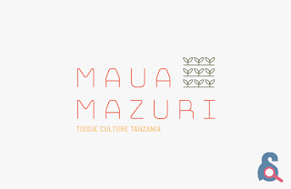 Job Opportunity at Maua Mazuri Ltd , Laboratory Assistant – Tissue Culture Agribusiness