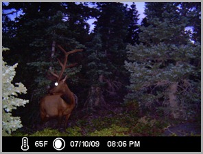 ICAM0068