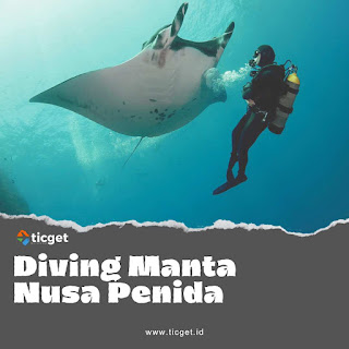 scuba-diving-experience-manta-point-nusa-penida-tour-and-ticket