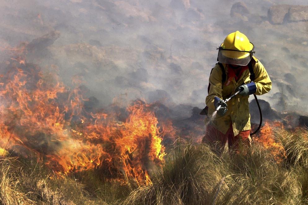 Incendios en Córdoba, Jujuy y Salta: alarma por más de 4.000 hectáreas en llamas