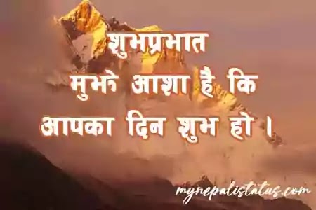 99+ Good Morning Quotes In Hindi With Images for whatsapp