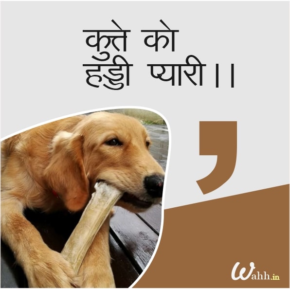Dogs Instagram Captions In Hindi