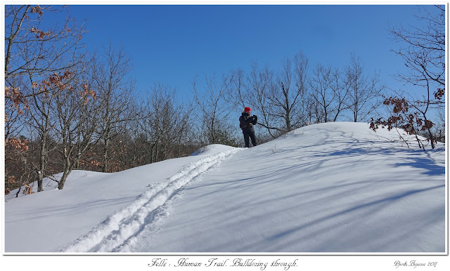 Fells: Human Trail. Bulldozing through.