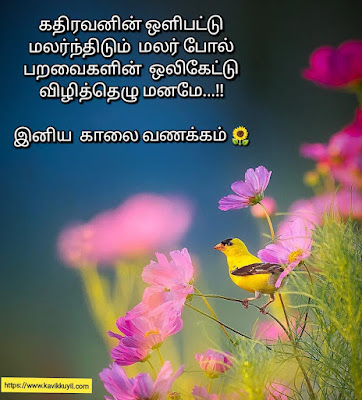 காலை வணக்கம் 2023 || Motivational Good morning quotes in tamil 2023