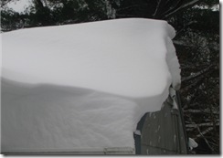 Snowy Roof