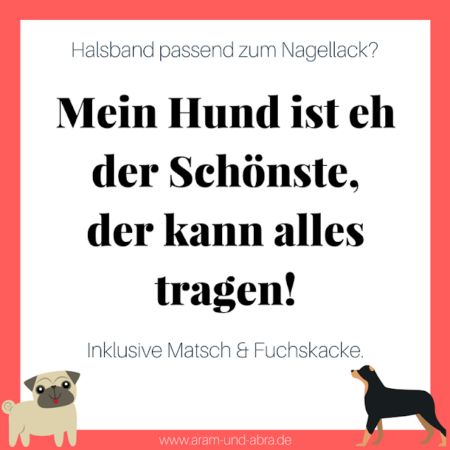 Welche Farbe passt zu meinem Hund?