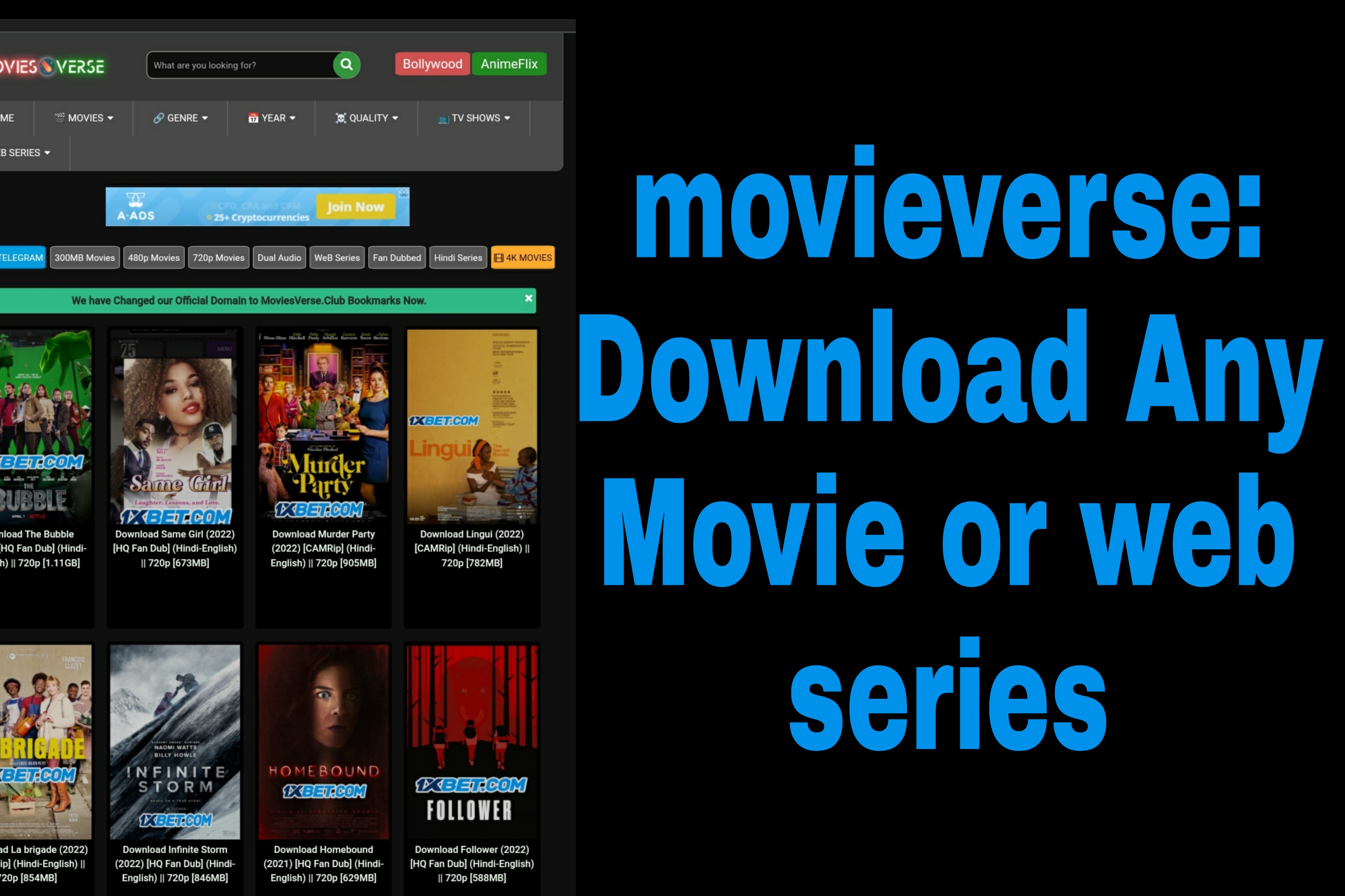 Moviesverse: Movieverse, Movies verse,bollyflix,moviesverse.in Movie verse, Moviesverse.com,Moviesflix verse, Moviesverse.me 2022