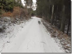 DSCN3091