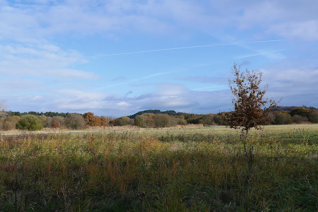 Saint-Perreux la route traverse le marais. Automne.