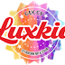 Styrofoam Warna GUCCY LUXKIA