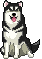 Gif de cachorro