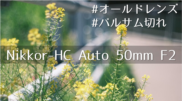 Nikkor-HC Auto 50mm F2, Fujifilm X-S10, CLASSIC Neg. 菜の花
