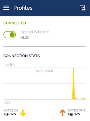 Connected Profile OpenVPN - ITSTAFF.web.id