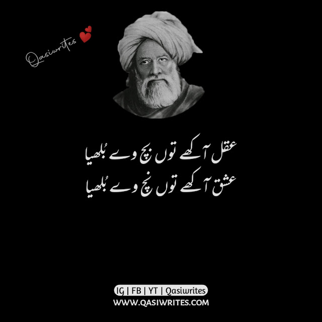 Baba Bulleh Shah Poetry in Urdu 2 Lines | Bulleh Shah Sufi Poetry - Qasiwrites