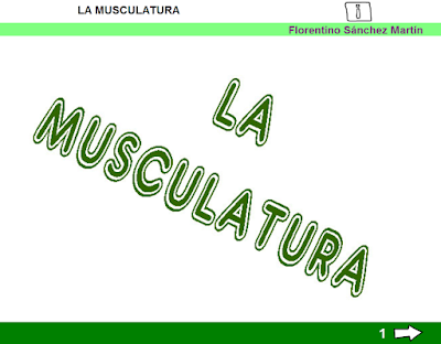 http://cplosangeles.juntaextremadura.net/web/tercer_curso/naturales_3/musculatura_3/musculatura_3.html