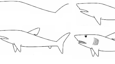 Aprende a Dibujar Tiburones con esta Guia Explicativa Sencilla