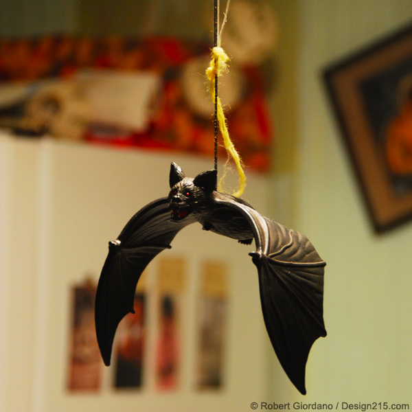 Kitchen Bat