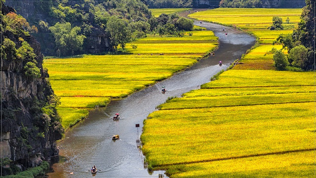 International tourists race to Vietnam to visit these beautiful places 4