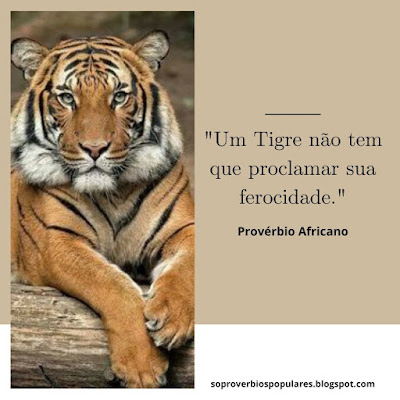 "Um Tigre não tem que proclamar sua Ferocidade."  Provérbio Africano