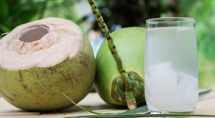 Air Kelapa Muda, Baik buat Kesehatan serta Kecantikan