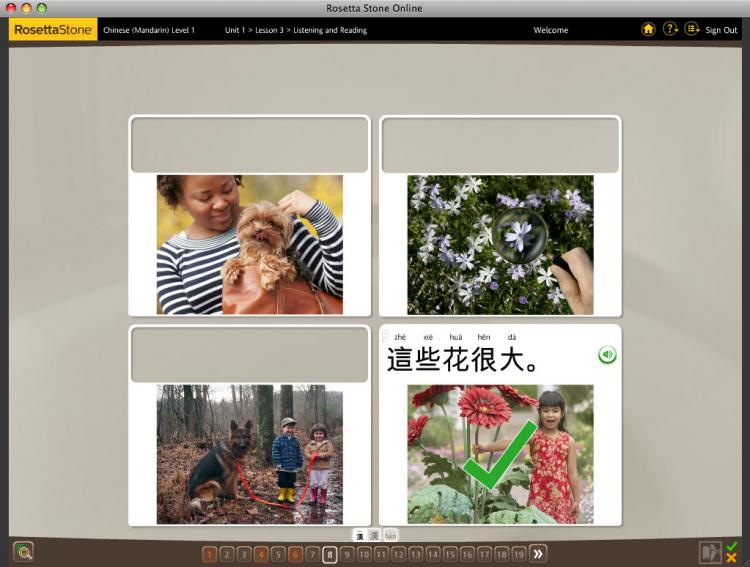 learning chinese  rosetta stone