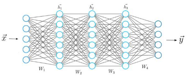 Architecture of Neural Networks