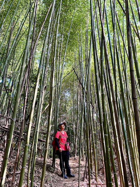 往玉女山