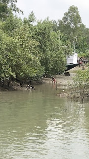 rent houseboat in Sundarban