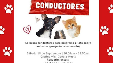 LIMA: CASTING PARA CONDUCTORES  Hombres y mujeres de 18 a 35 años. Proyecto: Programa Piloto