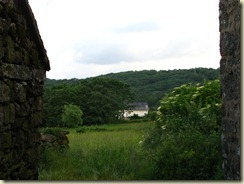 IMG_5380
