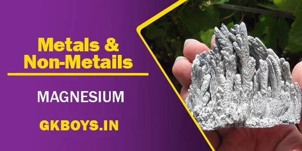 Metals & Non Metals | Magnesium | GK Boys