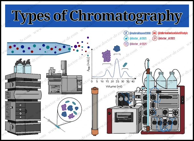 14 Different Types of Chromatography: Definition, Methods, and Applications